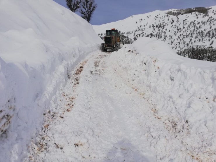Bingöl’de Karla Mücadele: 93 Köy Yolu Ulaşıma Açıldı