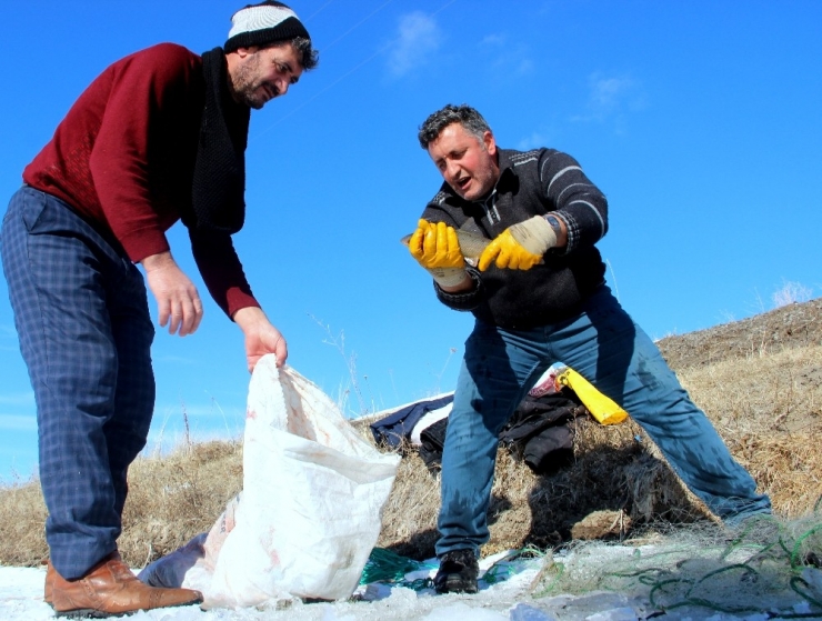 Soğuk Kış Günlerinin Vazgeçilmez Aktivitesi: Eskimo Usulü Balık Avı