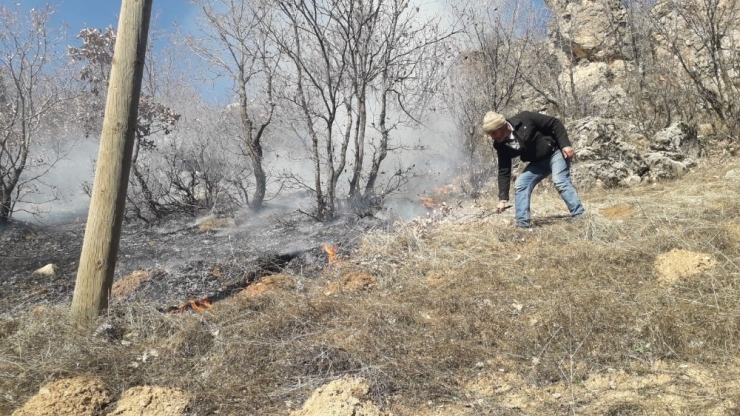 Ağaçlık Alandaki Yangına Vatandaşlar Müdahale Etti