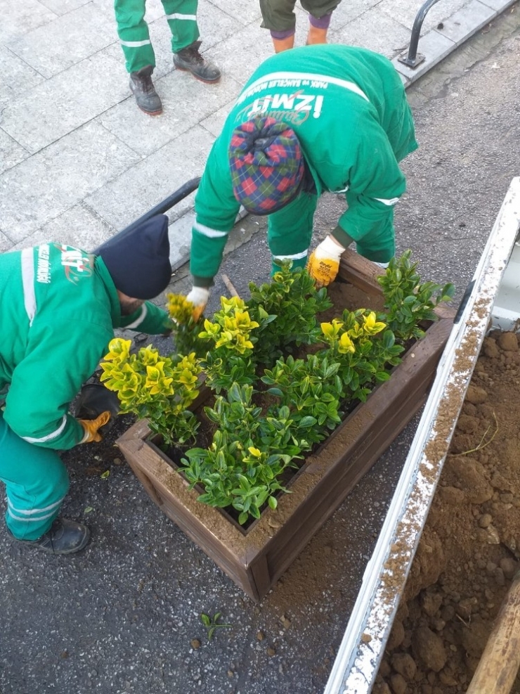 İzmit’te Cami Bahçeleri Çiçeklerle Donatılıyor