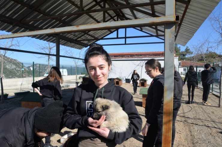 Lise Öğrencilerinden Hayvan Barınağına Ziyaret