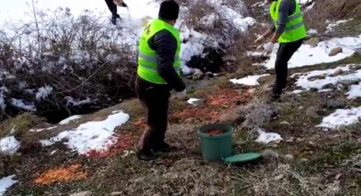 Bingöl’de Yaban Hayvanları İçin Doğaya Yem Bırakıldı