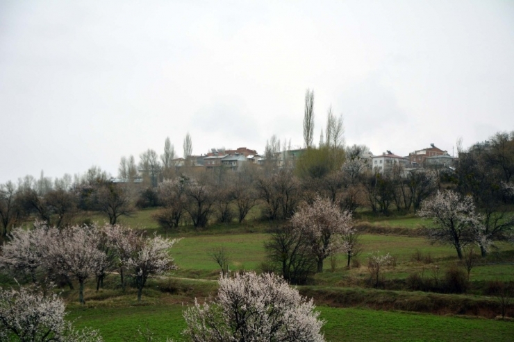 Sivas’ta 5 Köy Karantina Altına Alındı