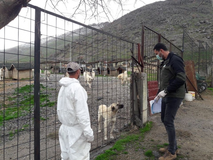 Dkmp Bitlis Şubesi Tarafından Hayvan Barınakları Denetlendi