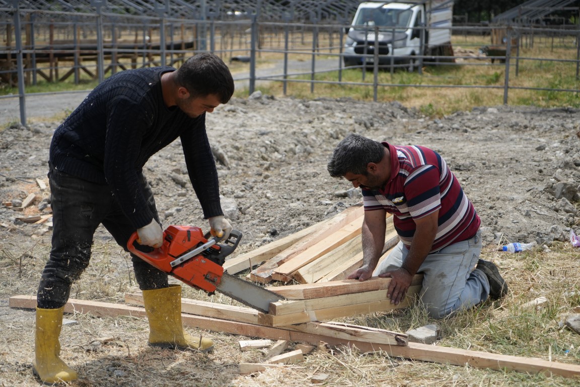 İstanbul’da Kurban bayramı hazırlığı başladı