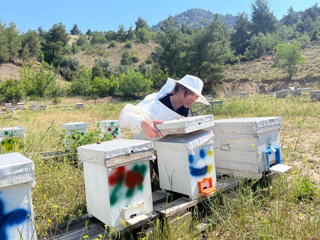 Yurtdışını ardında bırakıp Eskişehir’in dağlarında bal üretmeye başladı