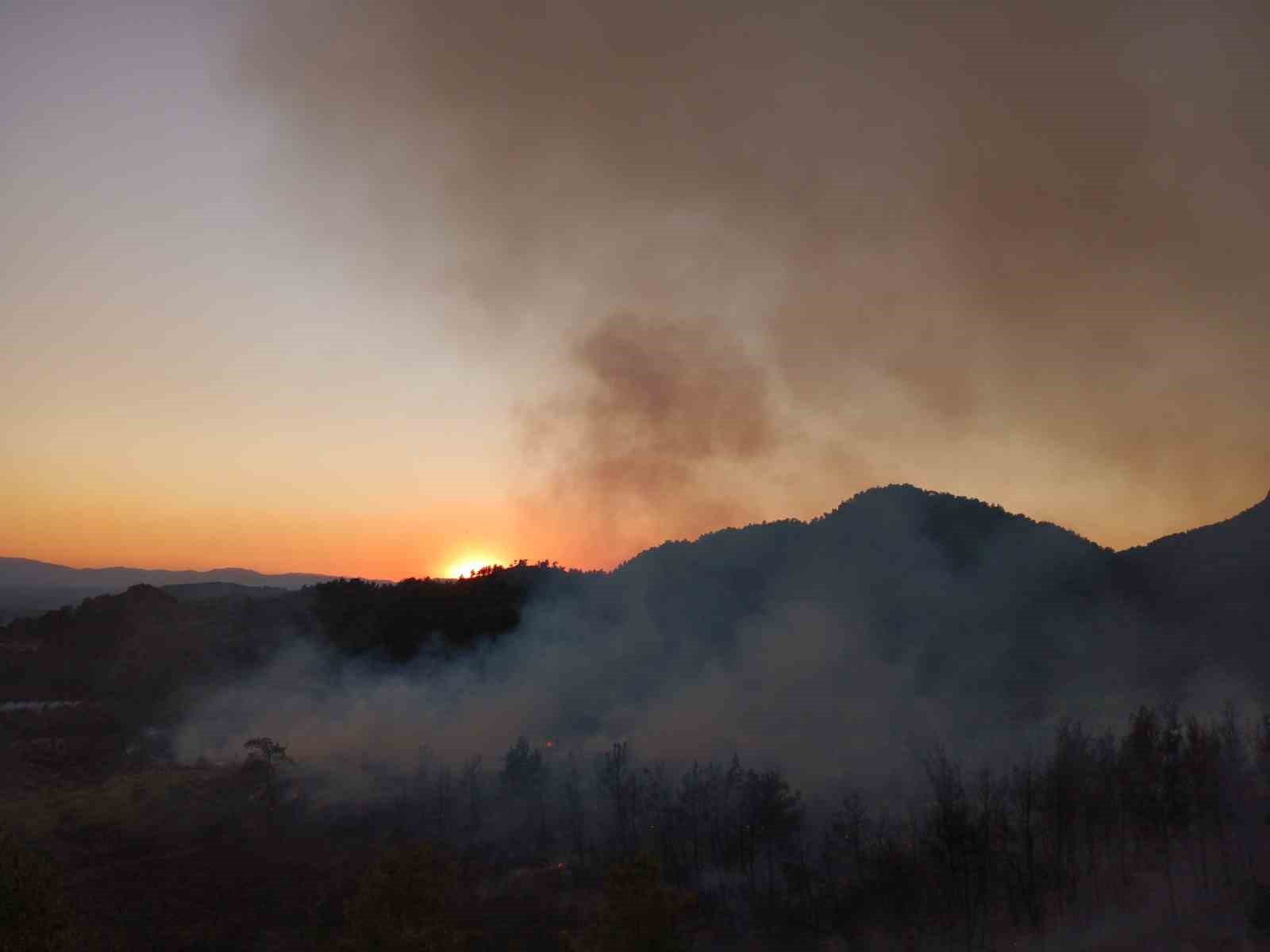 Antalya&rsquo;daki orman yangınında 7 ev boşaltıldı 