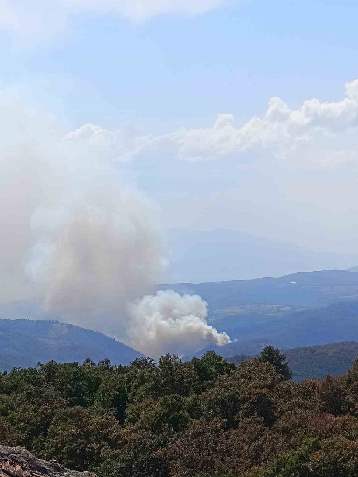 İznik’te çıkan orman yangınına 6 uçak ve 3 helikopter müdahale ediyor 