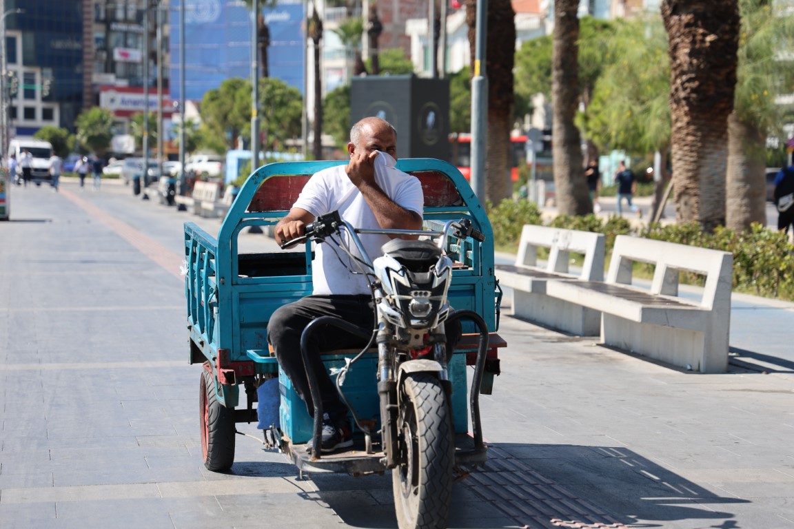 İzmir Körfezi’nde bilindik manzara: Yine binlerce ölü balık görüldü