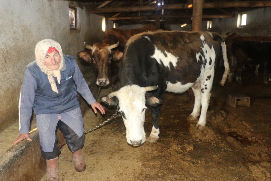 İHA’nın haberi ses getirdi: Çalışma azmiyle Türkiye’ye örnek olan Dilber nine çok arzuladığı konteynere kavuştu