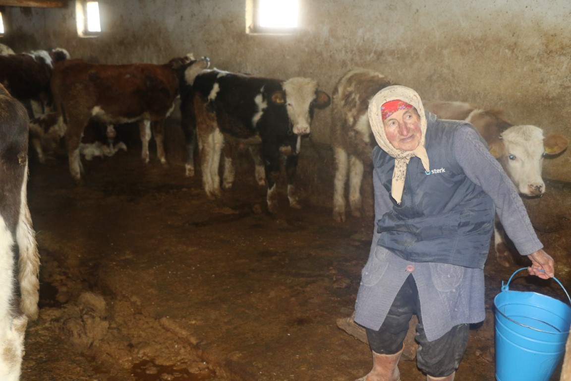 İHA’nın haberi ses getirdi: Çalışma azmiyle Türkiye’ye örnek olan Dilber nine çok arzuladığı konteynere kavuştu