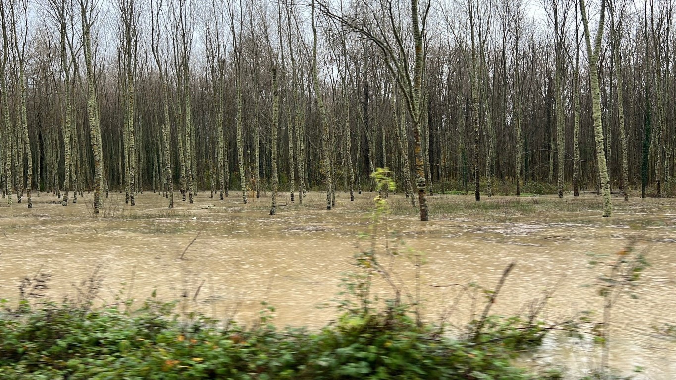 Sinop’ta dereler taştı