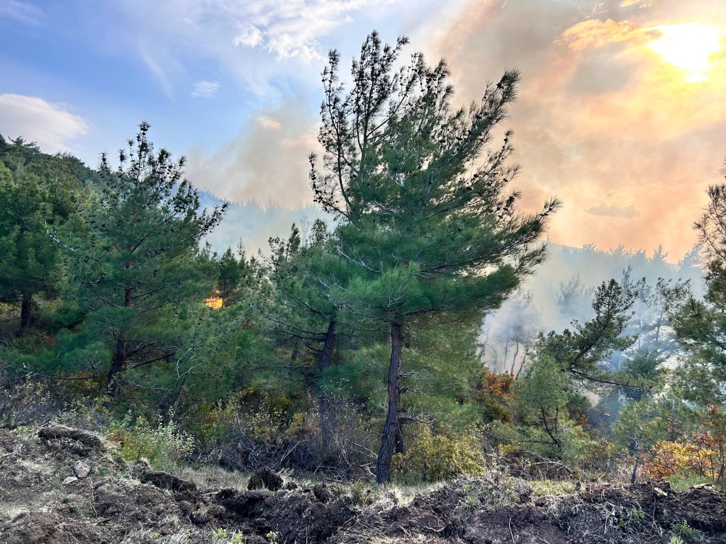 Hatay’da orman yangını rüzgarın etkisiyle büyümeye devam ediyor