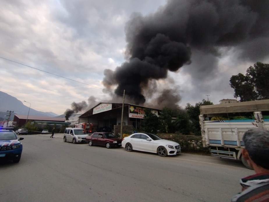 Alanya’da mobilya deposu yandı, alevler muz ve çiçek serasına sıçradı