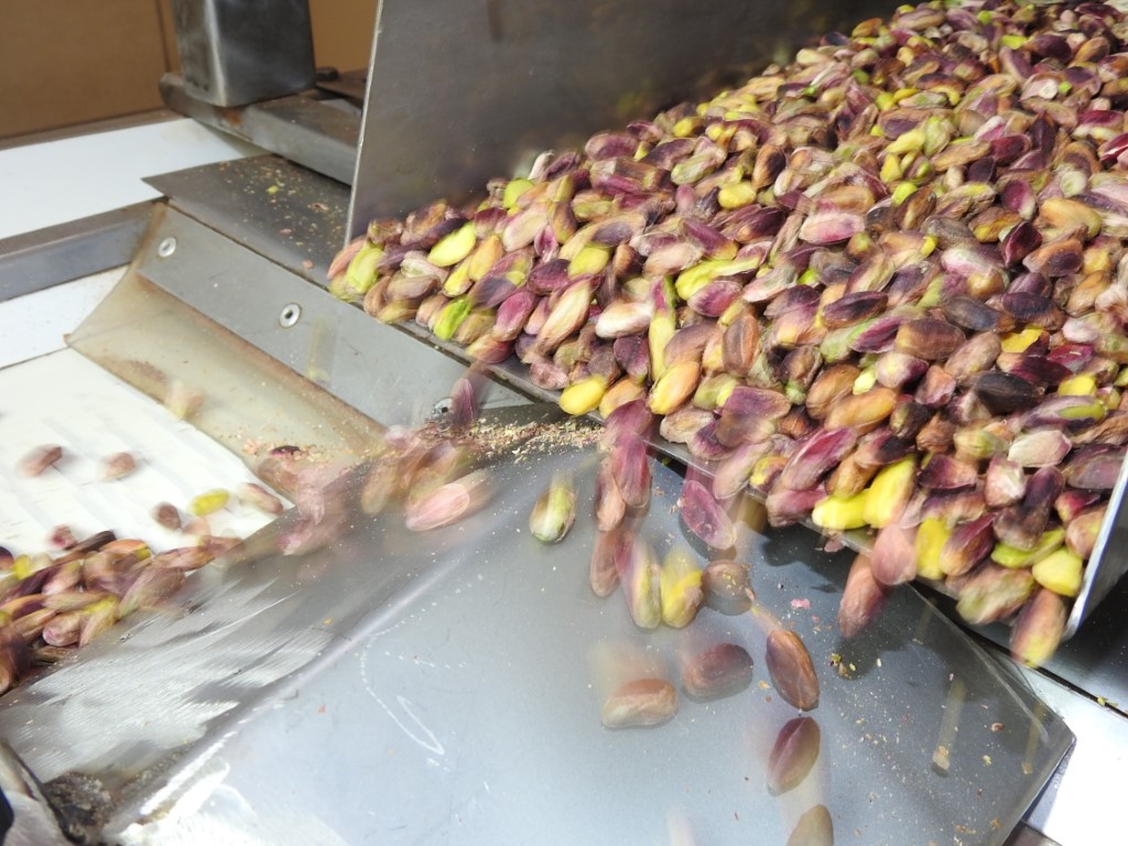 Antep fıstığının kullanım alanı ve ihracatı arttı
