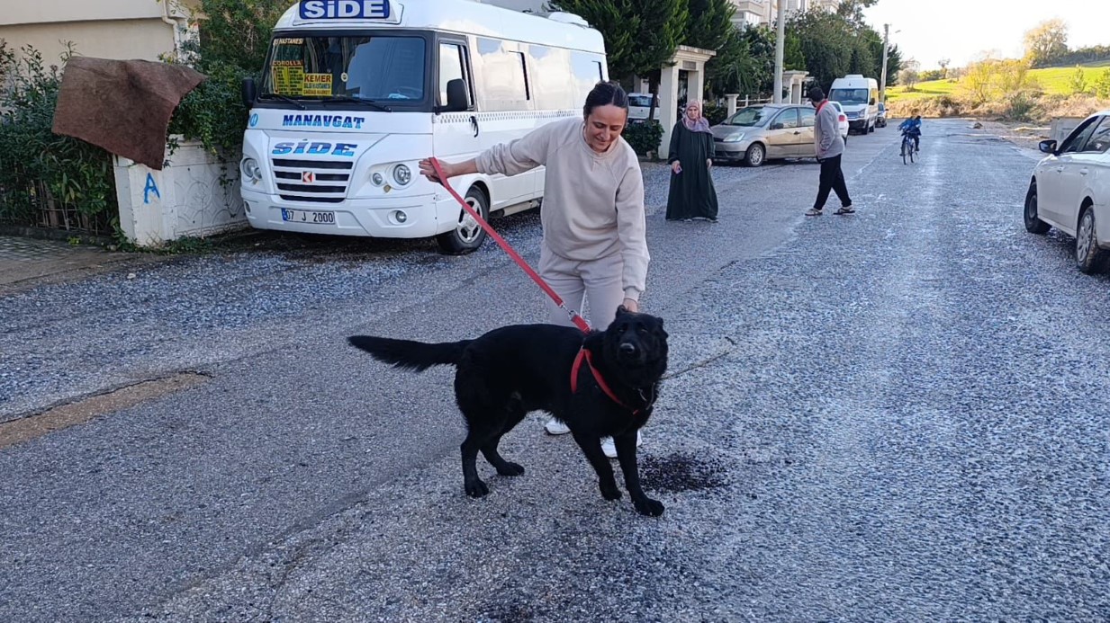 Sel sularının arasında kalan köpeği düzenledikleri operasyonla kurtardılar