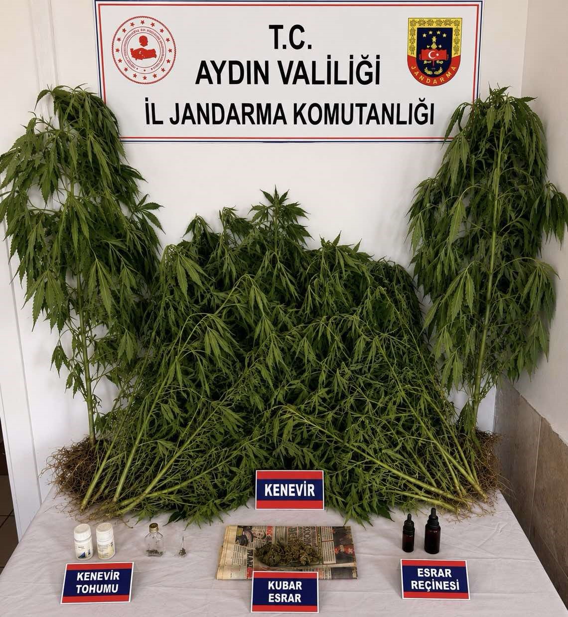 ev-ve-bahcesinde-kenevir-yetistiren-supheli-yakalandi