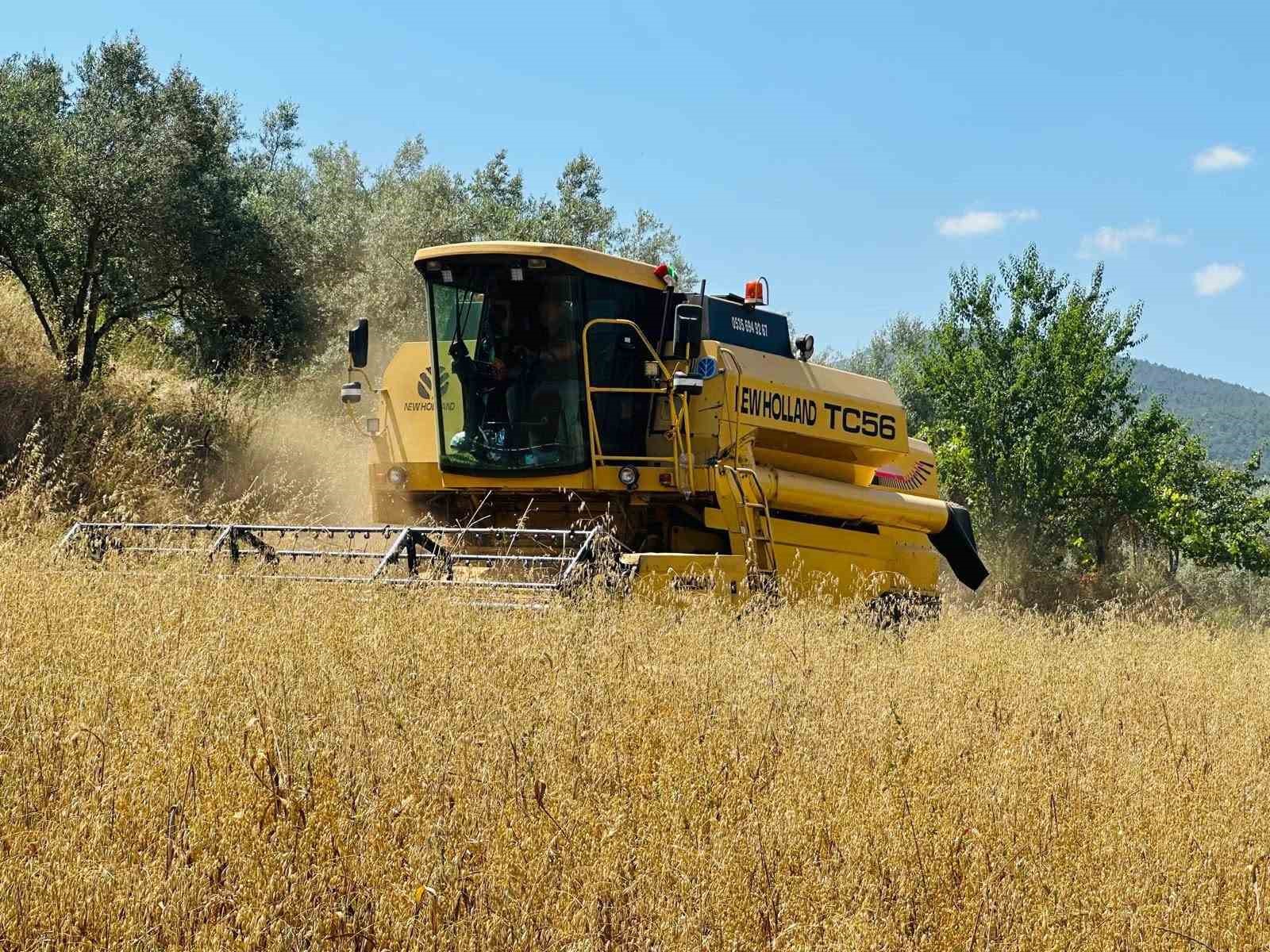 mentese-de-bicerdoverlere-siki-denetim