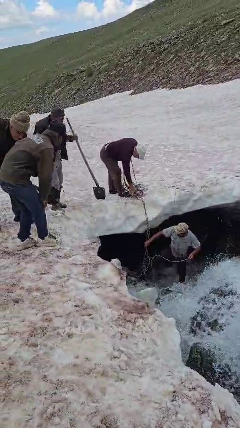 tortum-da-buzullarda-dana-kurtarma-operasyonu