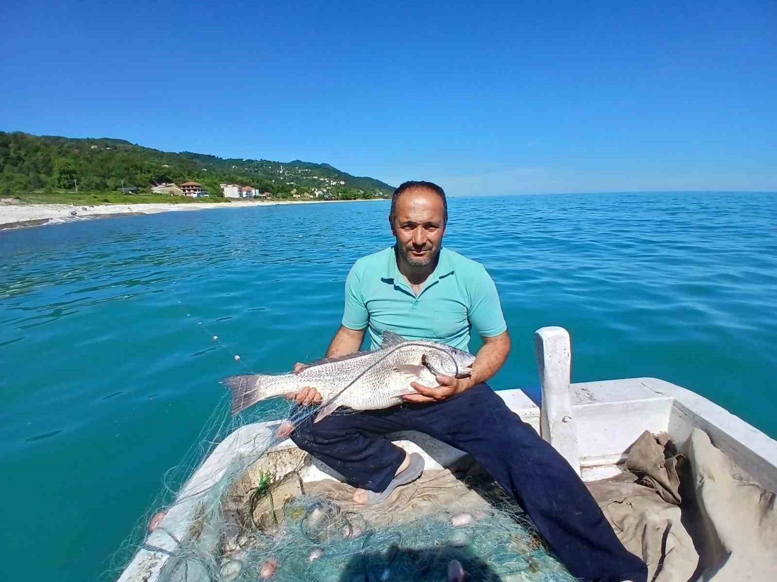 turkeli-de-nadir-gorulen-kotek-baligi-avlandi