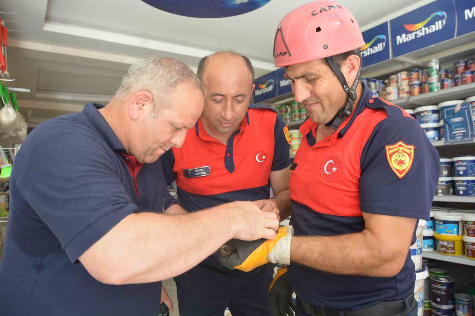 ordu-da-itfaiye-ekipleri-ebabil-kusu-icin-seferber-oldu