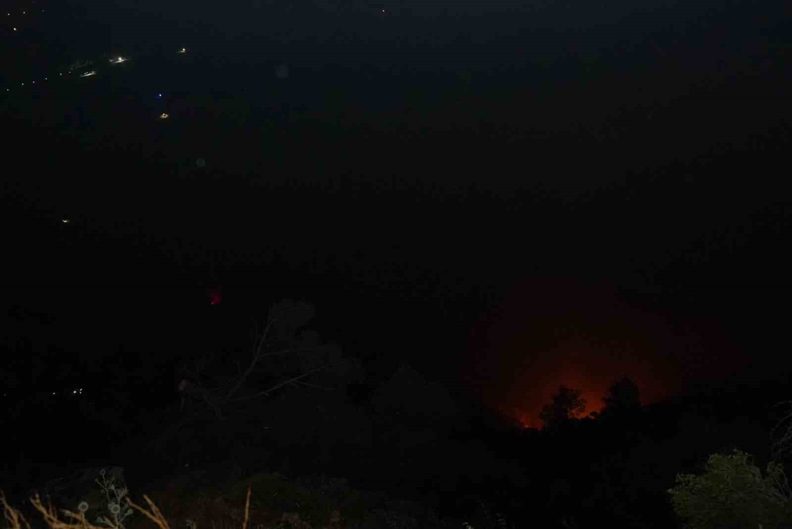 denizli-deki-orman-yangini-gece-saatlerinde-ruzgarin-etkisiyle-tekrardan-etkili-oldu