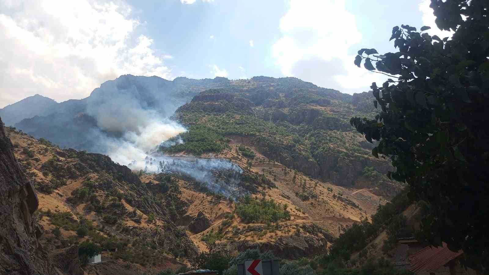 hakkari-de-orman-yanginina-giden-arazoz-zap-suyu-na-uctu-3-yarali