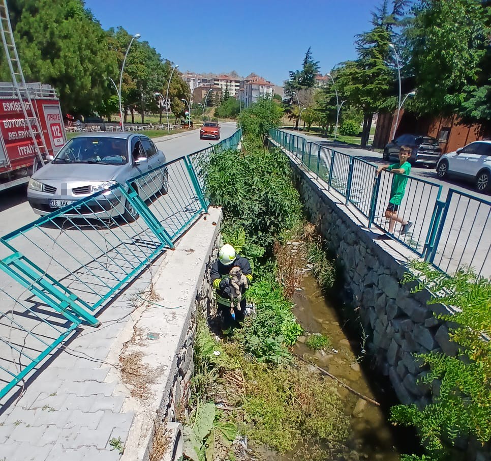 su-kanalina-dusen-yavru-kopek-itfaiye-arasindan-kurtarildi