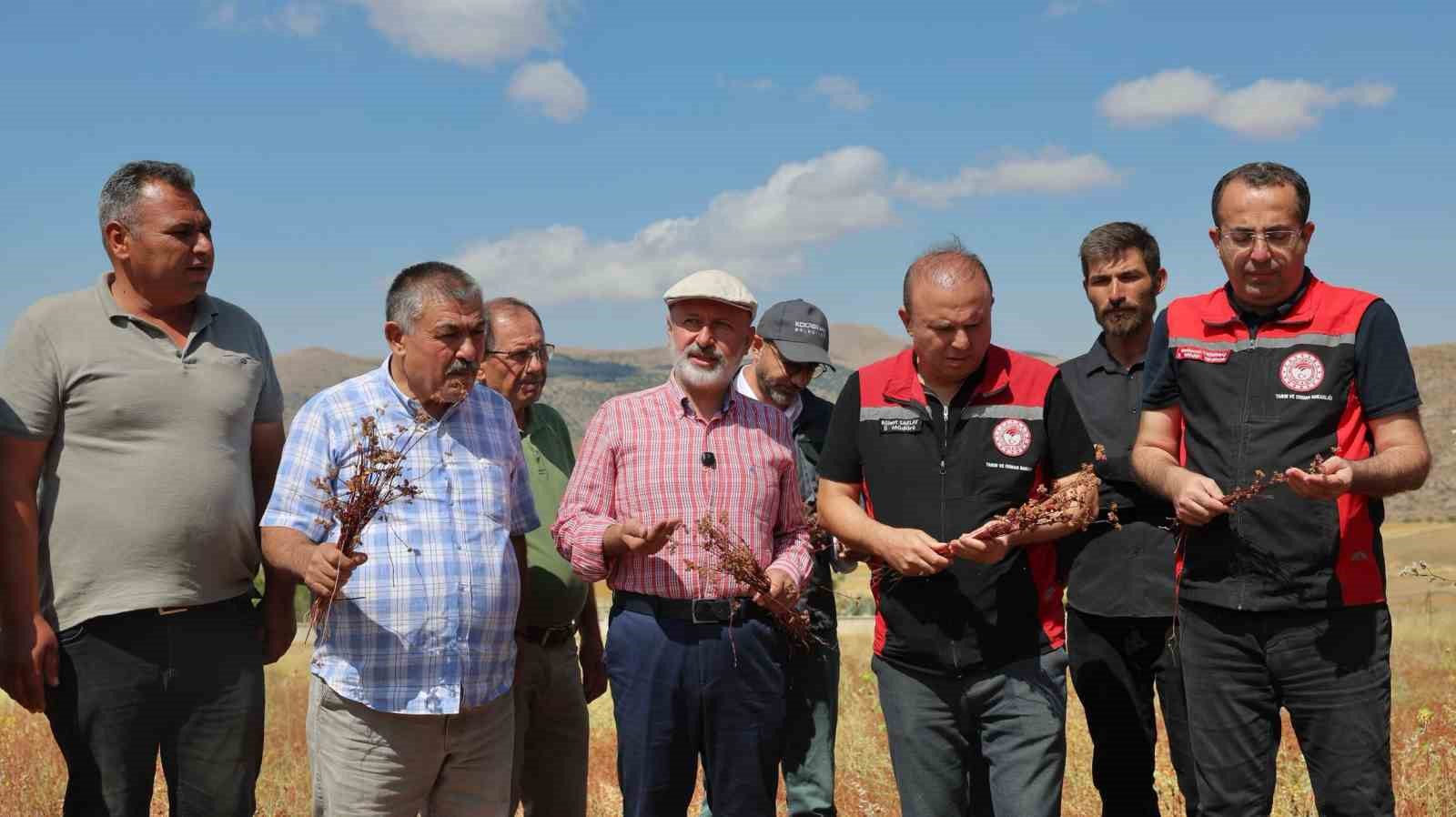 baskan-colakbayrakdar-kocasinan-i-aricilikta-merkeze-donusturecegiz-sehre-yeni-bir-tarim-urunu-kazandiracagiz