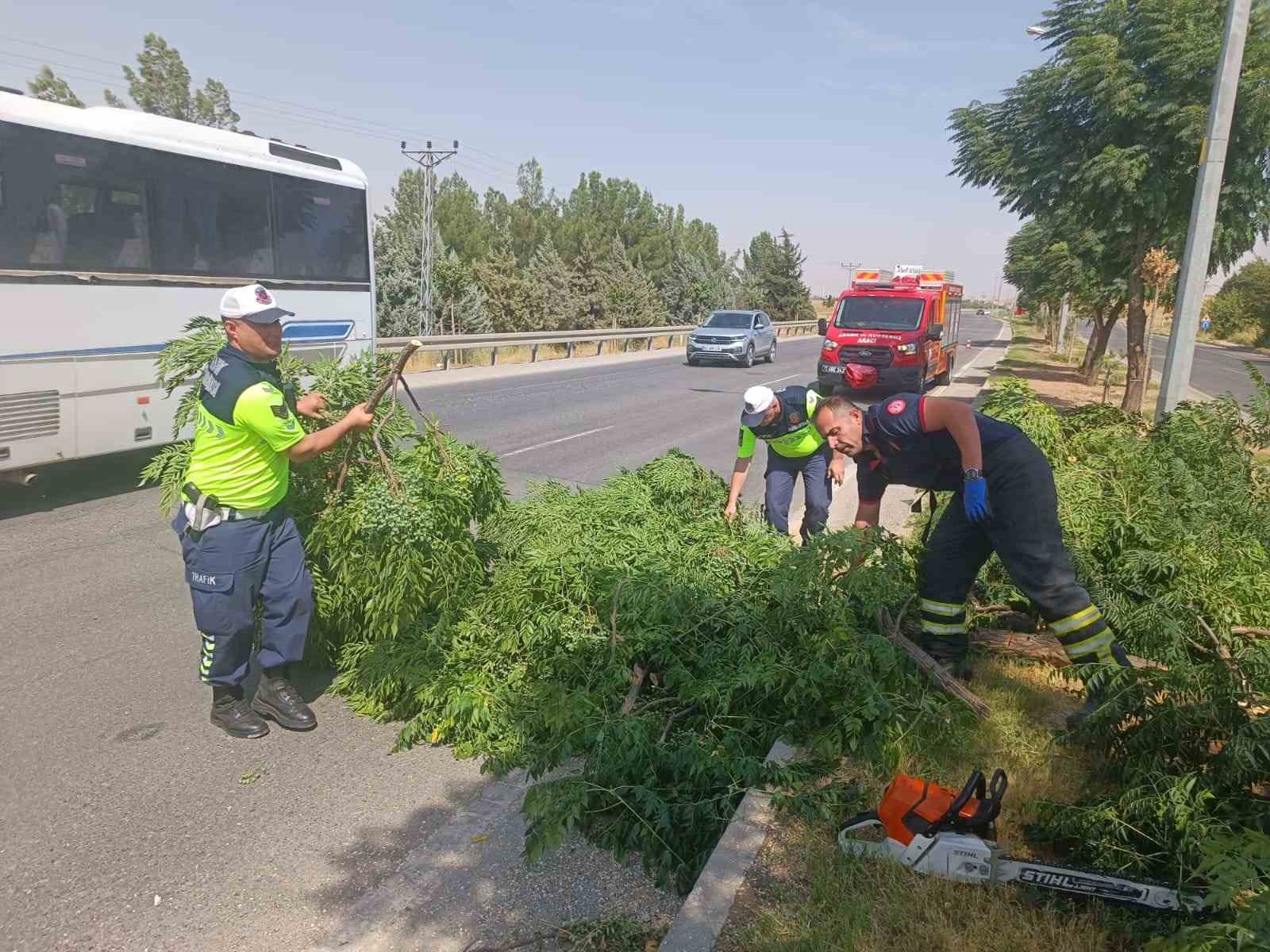 kuvvetli-ruzgar-agaci-devirdi
