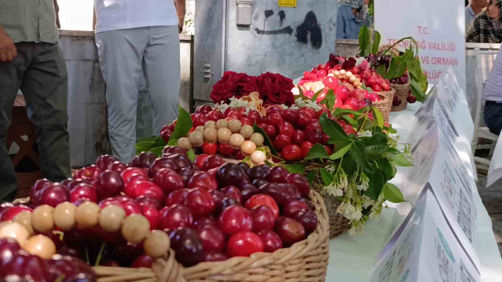 60-uluslararasi-tekirdag-kiraz-festivali-basladi-en-guzel-kirazlara-60-bin-lira-odul