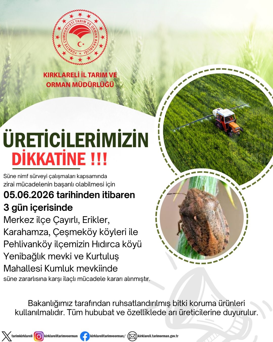 kirklareli-nde-sune-zararlisina-karsi-ilacli-mucadele-karari
