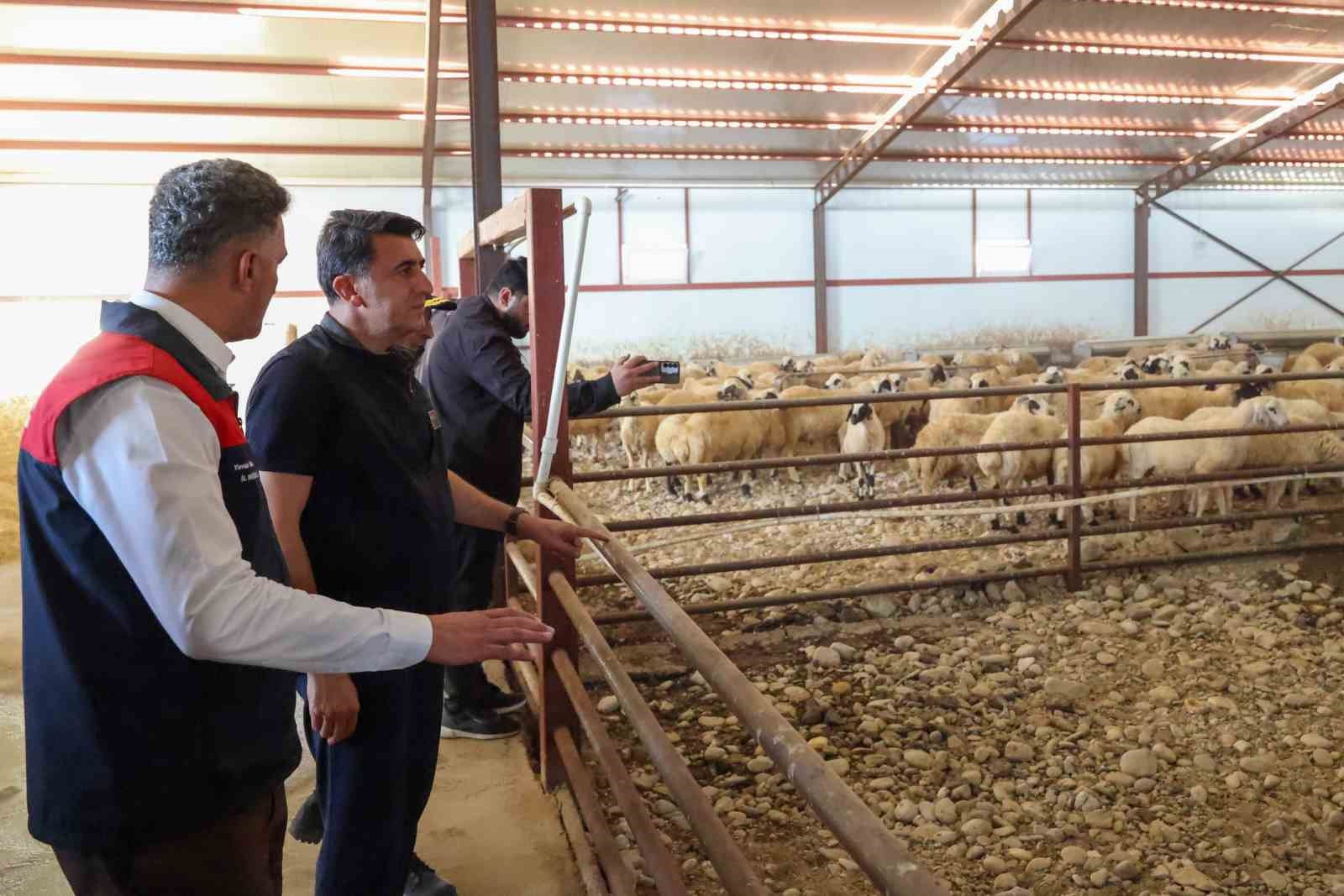 tunceli-de-kirsal-kalkinma-destekleri-ureticiye-guc-veriyor