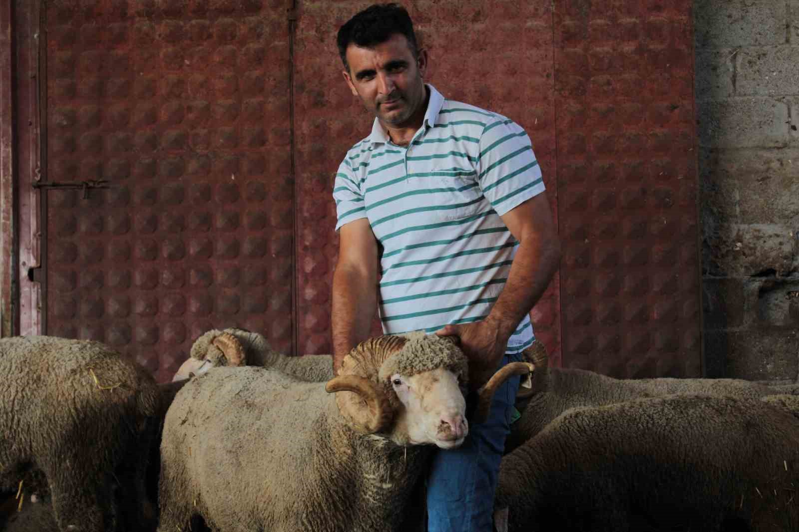 milyonluk-yerli-kocun-erkek-ucuz-yavrusu-oldu