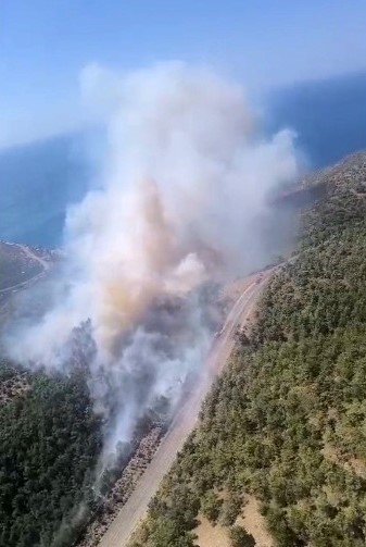 mersin-de-orman-yangini-ekipler-havadan-ve-karadan-mudahale-ediyor