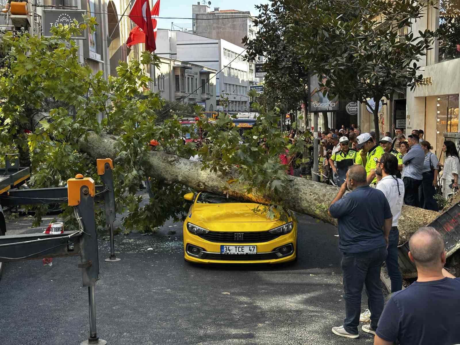 sisli-de-araclarin-uzerine-devrilen-cinar-agaci-kaldirildi