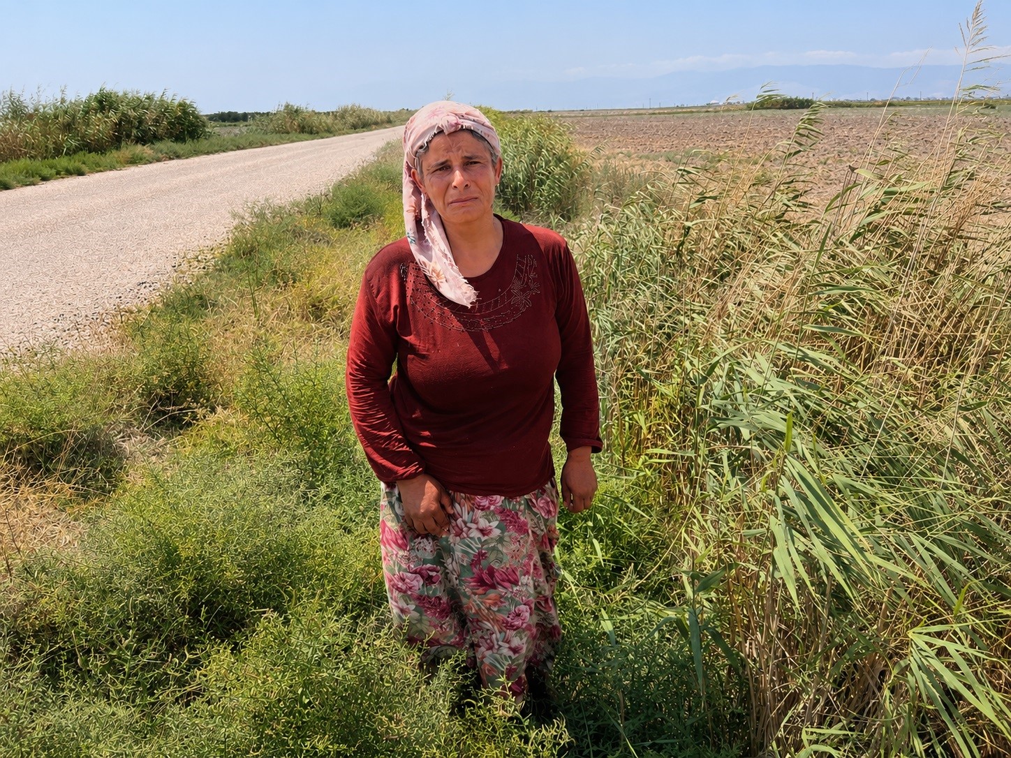 sut-satarak-gecimini-saglayan-kadinin-2-buzagisi-hastalanip-inegi-de-su-kanalina-duserek-telef-oldu