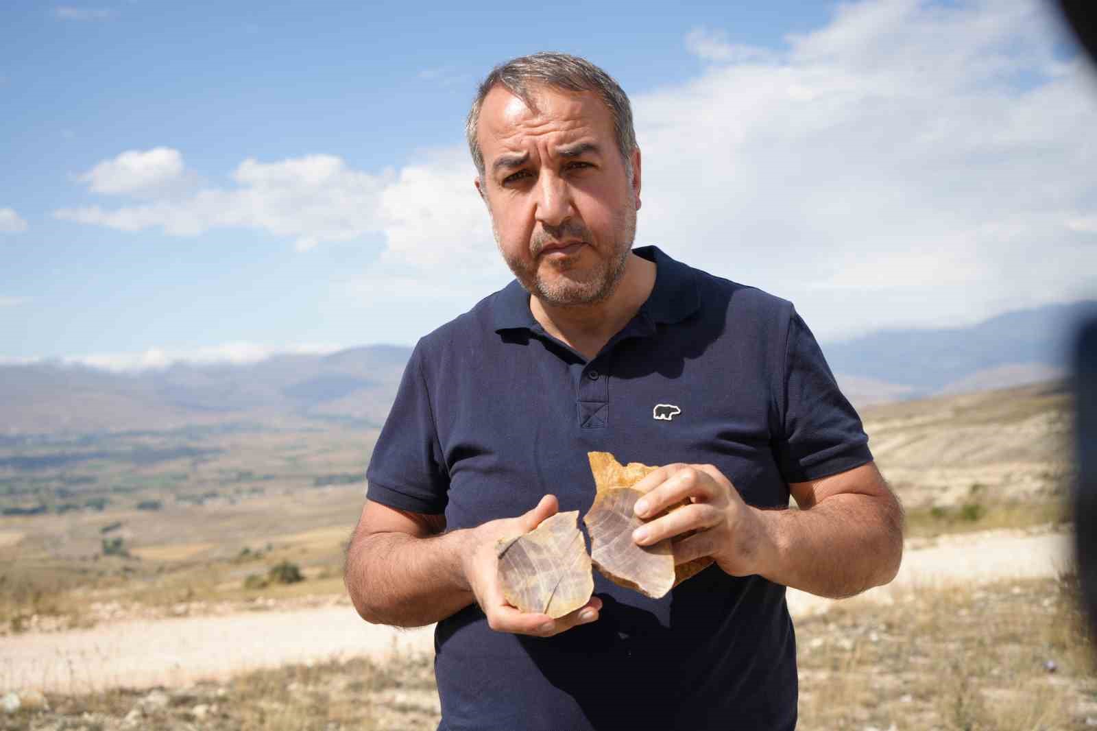 bayburtlu-ogretmenin-doga-meraki-fosil-kesfine-donustu-agac-ve-deniz-canlisi-fosilleri-buldu
