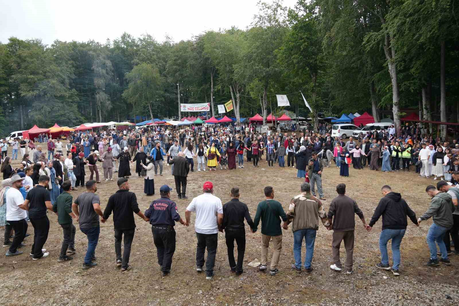 atakum-da-gokcepinar-yaylasi-senlikleri