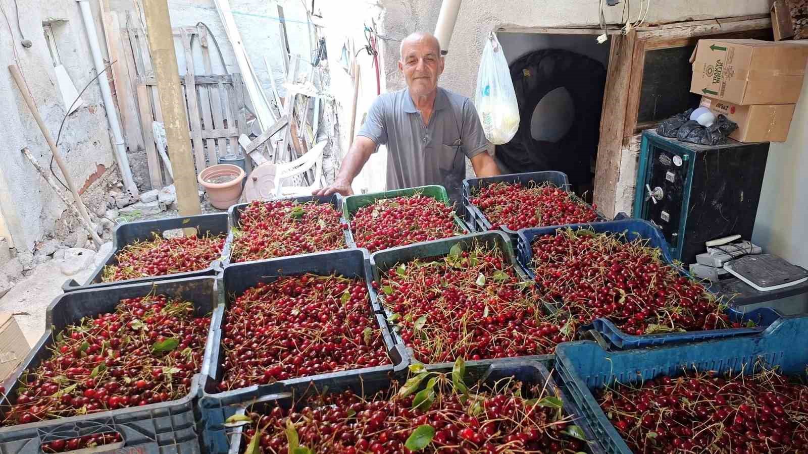 hisarcik-ta-visne-alimlari-basladi-uretici-fiyatlardan-memnun-degil