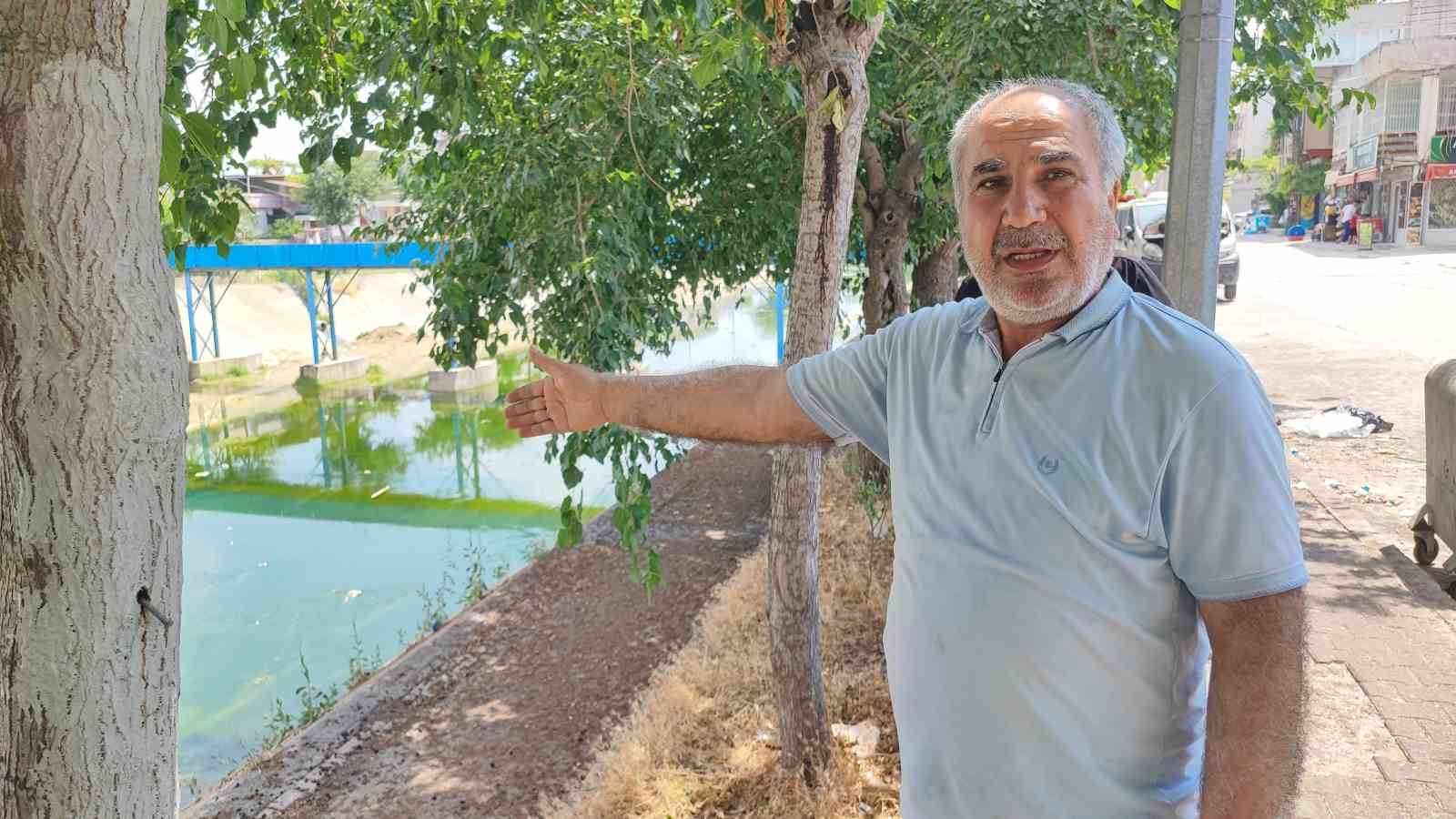adana-da-sivrisinek-istilasina-vatandas-tepkisi-cocuklarimiz-yara-icinde-kaldi