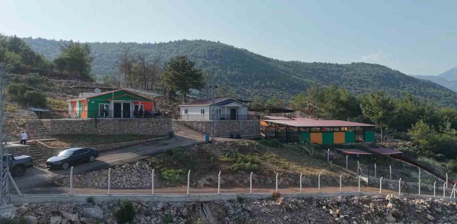 kozan-da-hedef-sifir-sahipsiz-sokak-hayvani