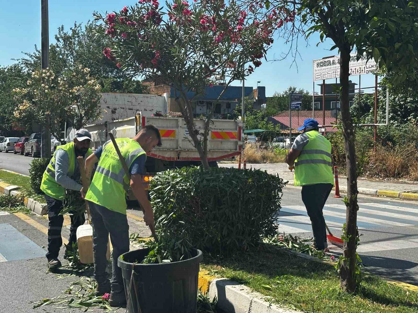 efeler-de-yesil-alanlar-buyuksehir-ekipleriyle-yenileniyor