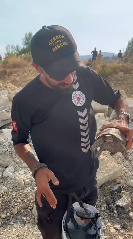 yangin-bolgesinde-canlilarin-tahliyesi-icin-seferber-oldular