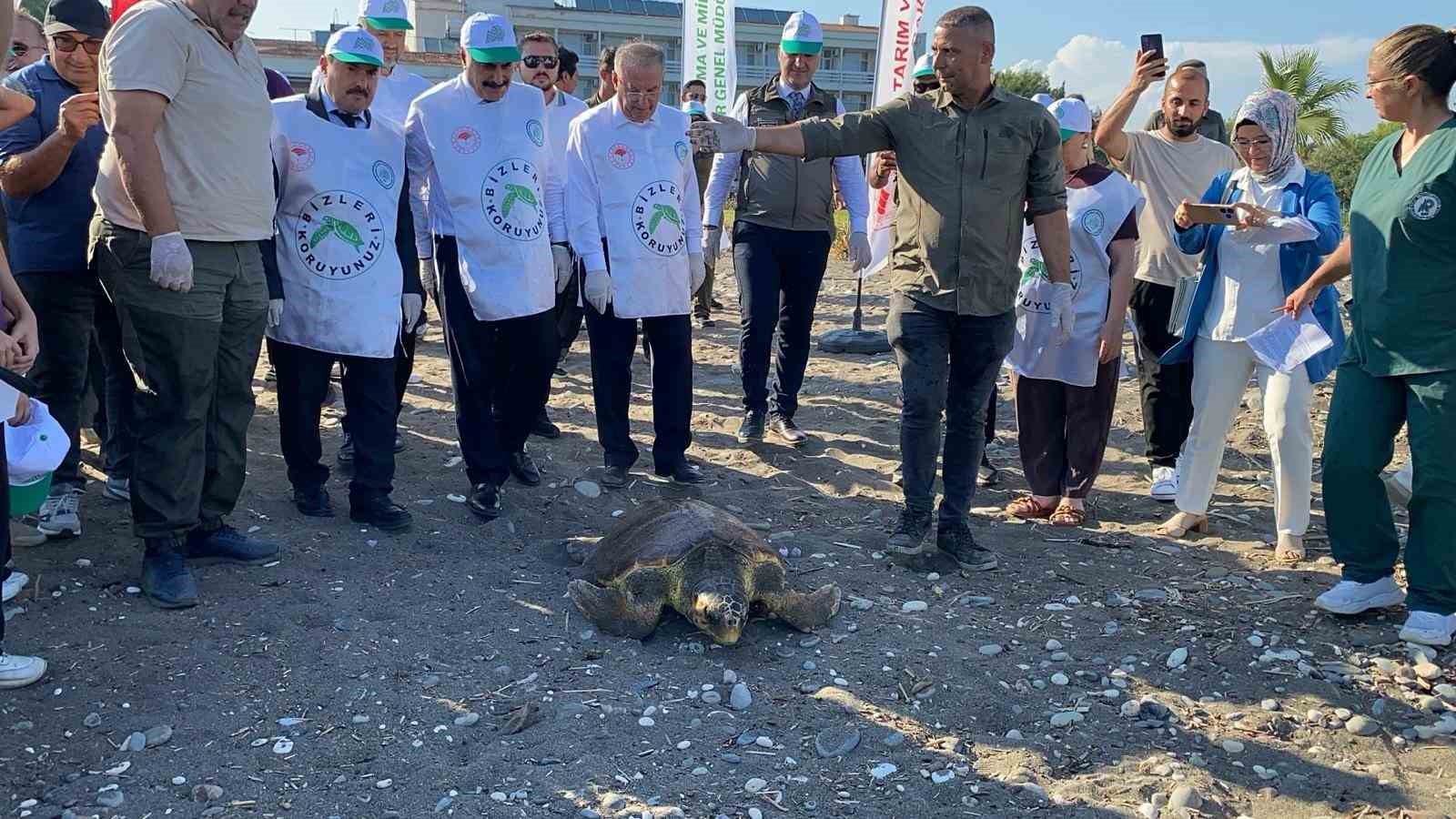 tedavisi-tamamlanan-3-deniz-kaplumbagasi-yeniden-denizle-bulustu