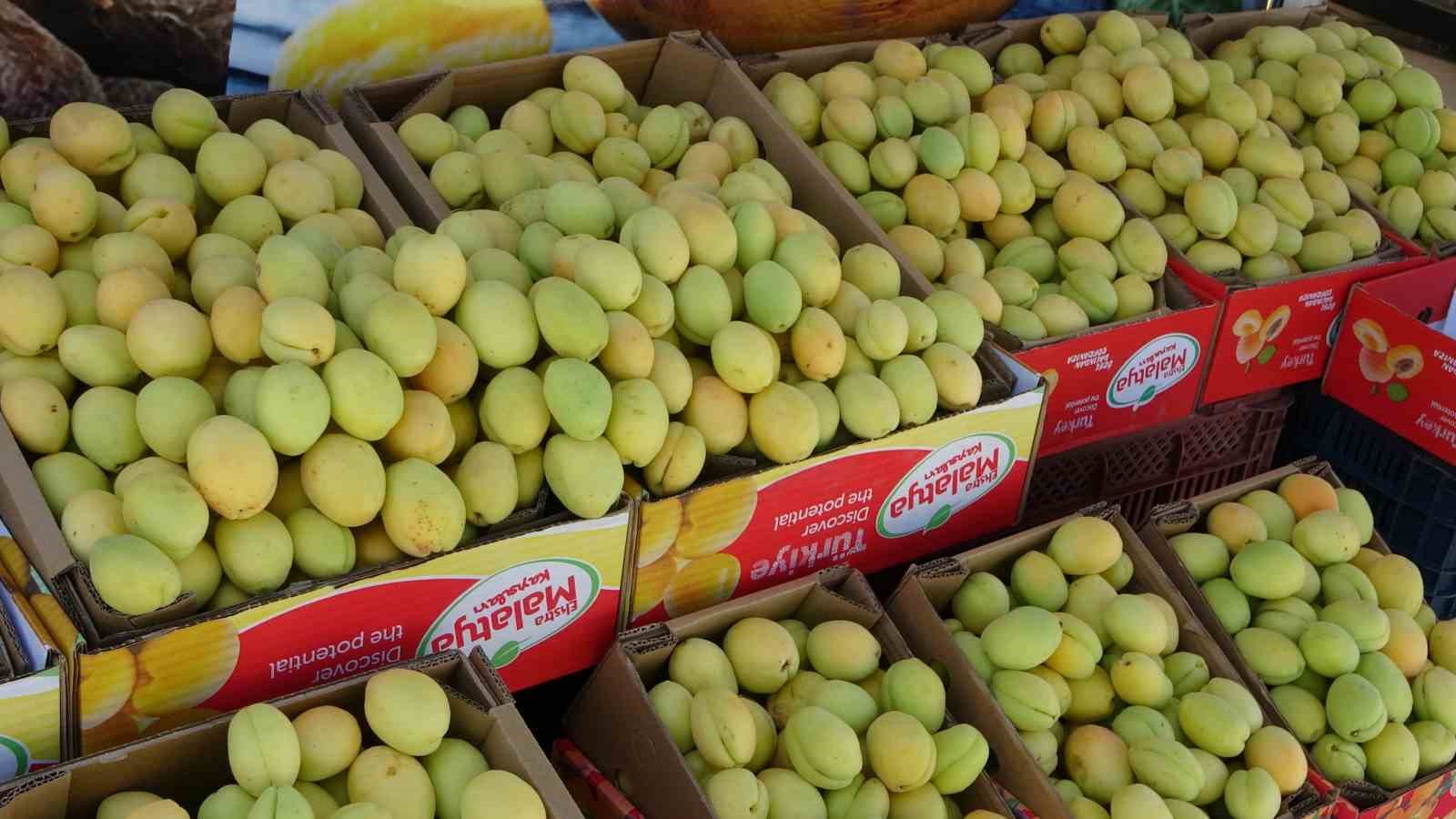 malatya-da-yas-kayisi-tezgahlarda-yerini-aldi
