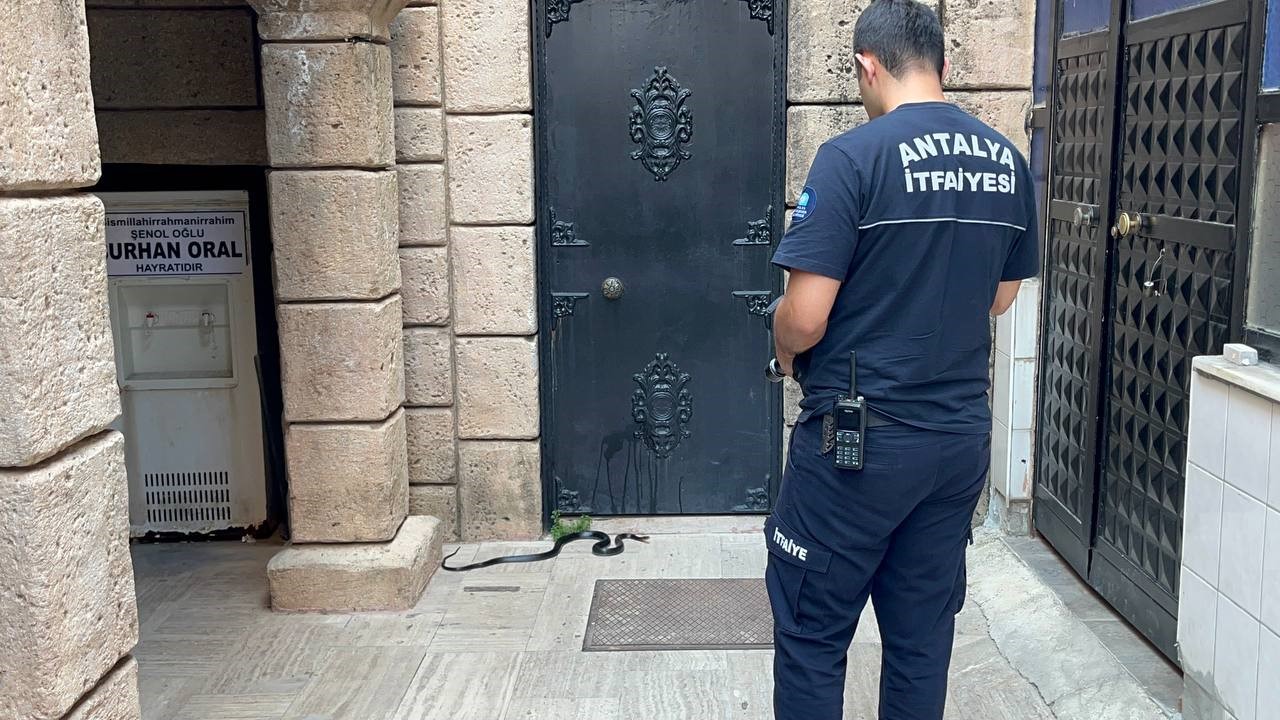 namaza-gelen-cemaat-karsilastiklari-yilani-once-oyuncak-sandi-hareket-edince-telefona-sarildi