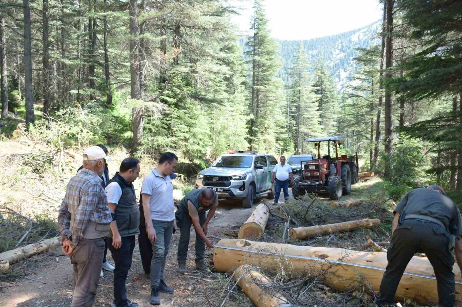 kahramanmaras-ta-yangin-riskine-karsi-yol-kenarlarinda-temizlik-ve-bakim