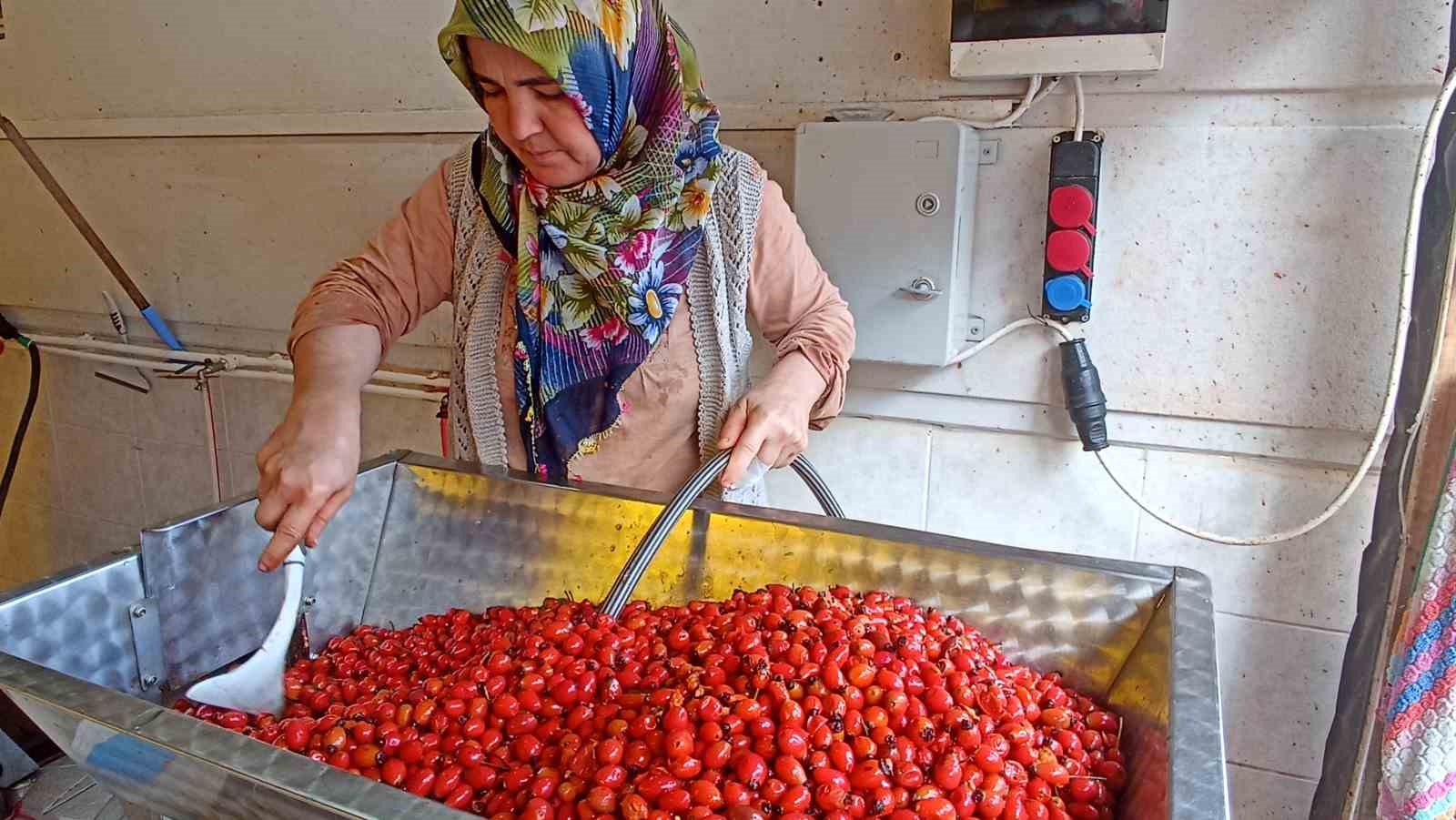 gunler-suren-islem-dakikalara-indi-kusburnu-marmeladi-zamani