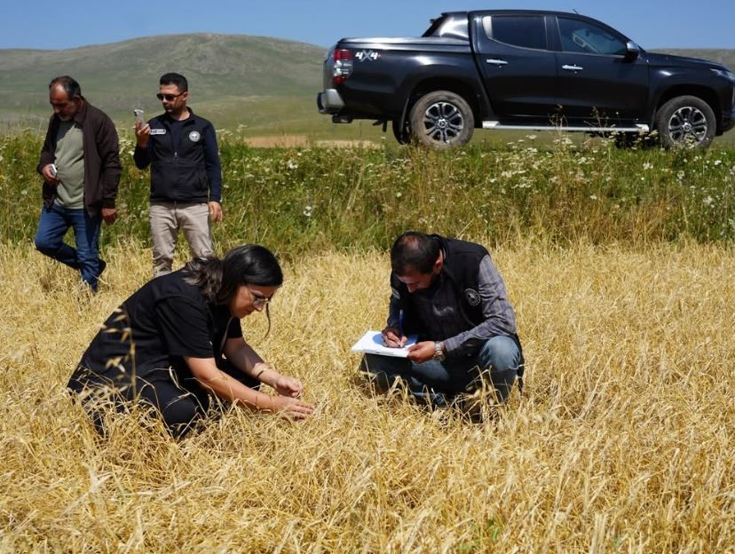 asiri-yagis-ve-dolu-nedeniyle-zarar-goren-arazilerde-hasar-tespiti-yapildi
